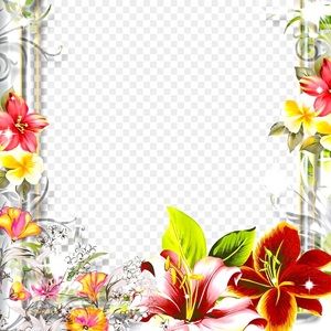 Womens tunics with leggings